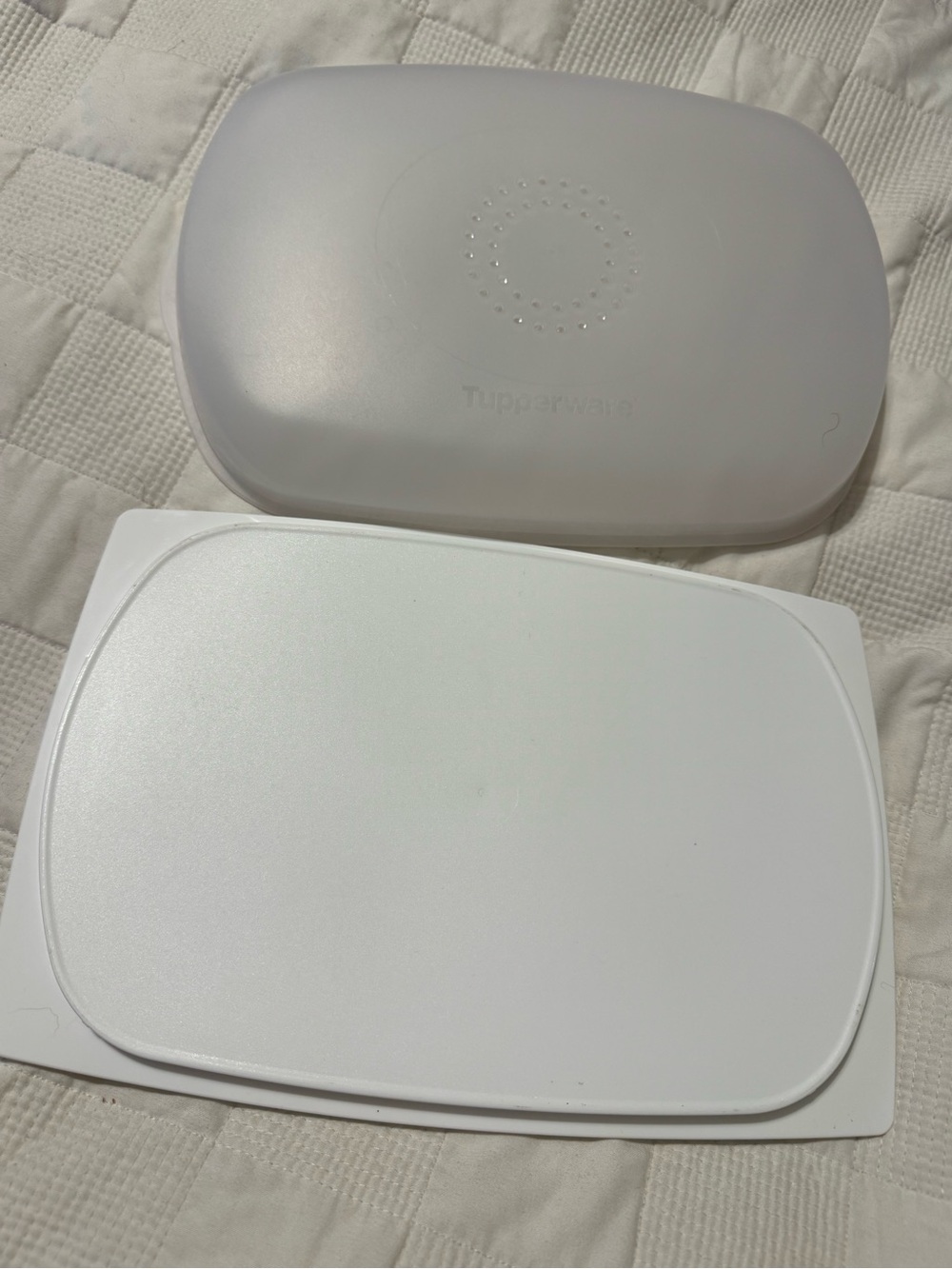 Tupperware Large SLIM Cheese Smart